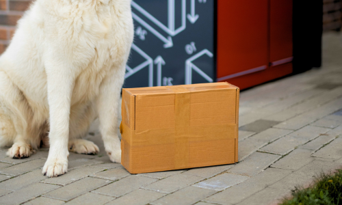 A dog sitting next to a cardboard box on the ground.